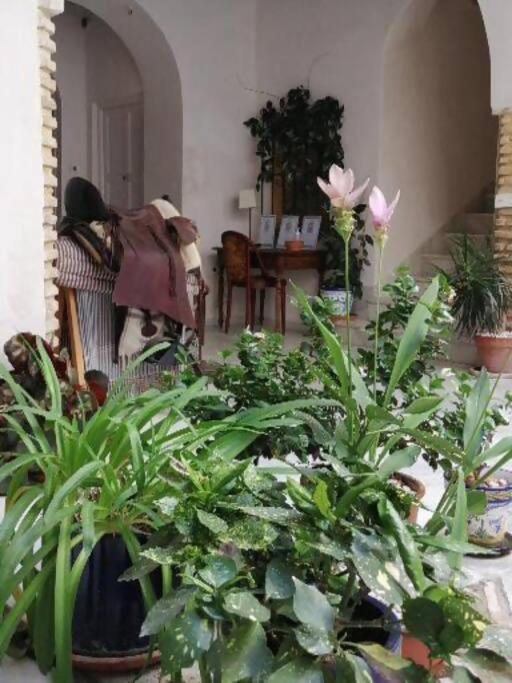 Apartamento El Sosiego Sanlucar de Barrameda Luaran gambar