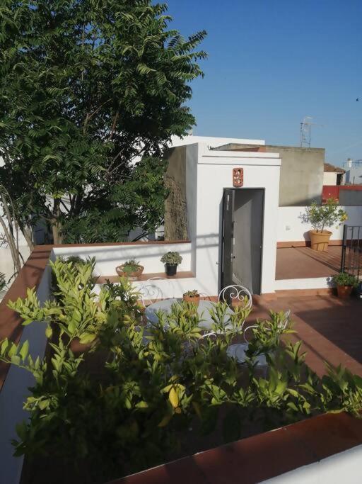 Apartamento El Sosiego Sanlucar de Barrameda Luaran gambar
